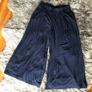 Uniqlo Wide Leg Drape Pleated Pants